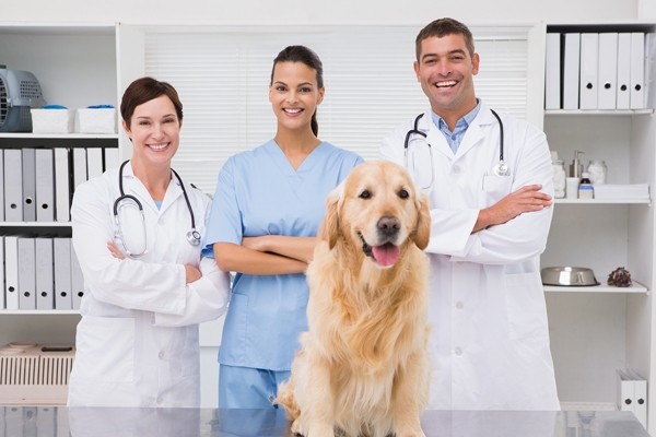 Dr. Mark Johnson, Berrien Veterinary Services